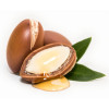 Primer, Instant Perfection, cu ulei de argan si luminita noptii BIO, Life Care®